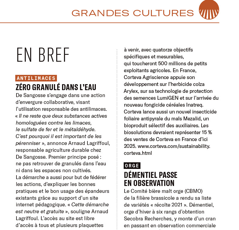 De Sangosse dans le presse